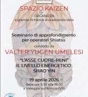 NON PIÙ DISPONIBILE - "L'Asse Cuore-Reni" - Il livello energetico Shao Yin